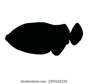 Silueta vectorial del pez desencadenante sobre fondo blanco.