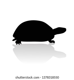 Vector silhouette of turtle on white background.Symbol of animal and nature.