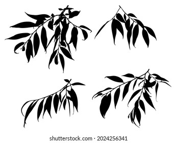 Vector silhouette of twigs with leaves isolated on white background.