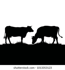 Vector silhouette of two cows. Farm animals on grass pastures.