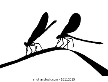 silueta vectorial dos libélulas sobre hierba