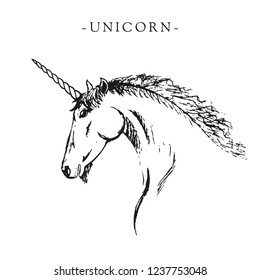 Vector silhouette of a unicorn. Black and white sketch for a postcard or logo. Horse with horn. Handmade doodle. Isolated zentangle