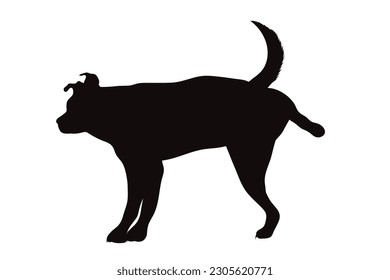 Vector silhouette of urinate dog on white background. Symbol of pet.