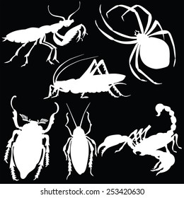 vector silhouette of various insects