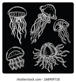 vector silhouette of various jellyfish
