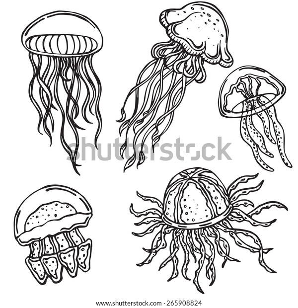 Vector Silhouette Various Jellyfish Stock Vector (Royalty Free) 265908824