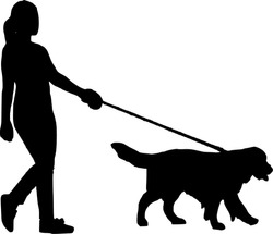 Vector Silhouette Of Walking With Dog On White Background