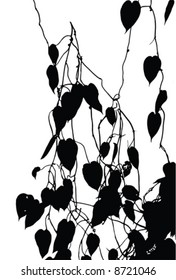 vector silhouette of wall plant