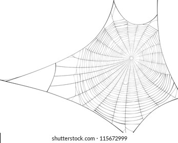 Vector silhouette of web of spider, isolated on white, for rectangular shape.