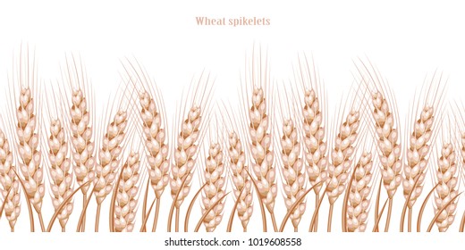 Vector silhouette of wheat. Wheat in the field on a white background.