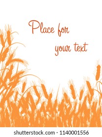 Vector silhouette of wheat. Wheat in the field on a white background. elegant rustic pattern. Place for your text