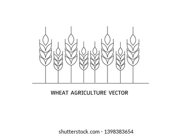 Vector silhouette of wheat. Wheat in the field on a white background.Vector Illustration EPS 10.