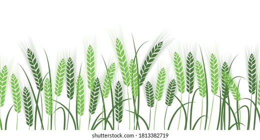Vector silhouette of wheat. Wheat in the field on a white background.