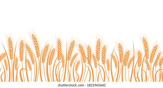 Vector silhouette of wheat. Silhouette. Wheat in the field on a white background.