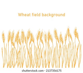Vector silhouette of wheat. Wheat in a field on a white background
