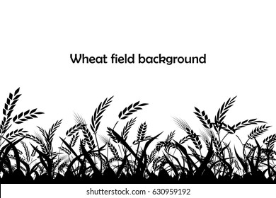 Vector silhouette of wheat. Silhouette. Wheat in the field on a white background.