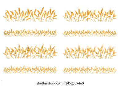 Vector silhouette of wheat. Set. Wheat in a field on a white background.