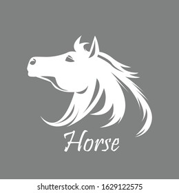 Vector silhouette of a white horse's head
