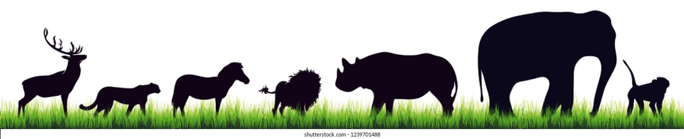 Vector silhouette of wild animal on white background.