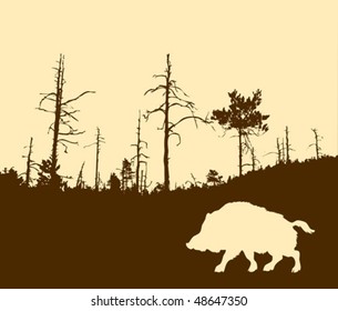 Vektorsilhouette des Wildschweins