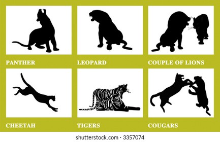 Vector silhouette of wild cats, family of cats