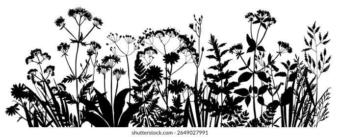 Silhueta vetorial de ervas e flores de prados selvagens. Borda de grama preta natural no fundo branco. Perfeito para design botânico, impressão, cartões, cartazes, embalagem ecológica e elementos decorativos.