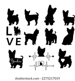 Vector Silhouette of a Yorkie Dog on a White Background,Yorkie Dog Bundle Silhouettes,Yorkshire Terrier Silhouette	.