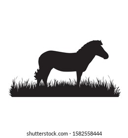 Vector silhouette of zebra in the grass on white background. Symbol of animal, zoo, Africa, safari, wild, nature, park, garden.