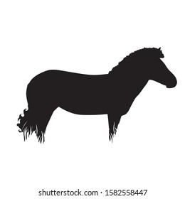 Vector silhouette of zebra in the grass on white background. Symbol of animal, zoo, Africa, safari, wild, nature, park, garden.