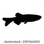 Vector silhouette of zebrafish on white background.