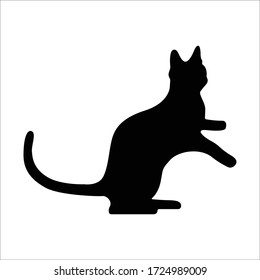 Vector silhouetted cat. The pet is playing. Silhouettes of cats in a playful mood, the kitten stands on its hind legs.