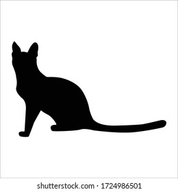 Vector silhouetted cat. A pet. Silhouettes cats in a sitting position.