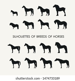 vector silhouettes of 16 different breeds of horses
