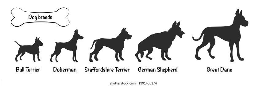 Vector Silhouettes 5 Dog Breeds On Stock Vector (Royalty Free ...