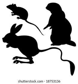 vector silhouettes animal on white background