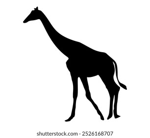 vector silhouettes of animals, lion, elephant, deer, giraffe, eagle, monkey. animal rights day