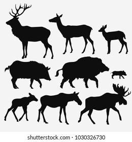 Vector silhouettes of animals on white background
