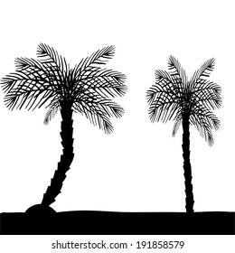 Vector silhouettes of beach umbrellas on a white background.