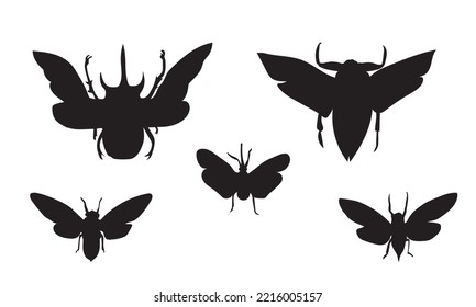 Vector silhouettes of beetles with open wings. Entomology collection illustration