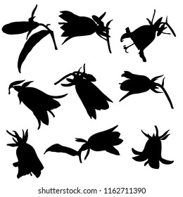 vector silhouettes of bell flowers, floral elements, hand drawn botanical illustration
