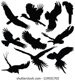 Vector silhouettes of bird silhouettes on white background.