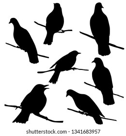 Vector silhouettes of bird sitting at tree branch,thrush and dove, hand drawn songbirds, isolated nature design elements