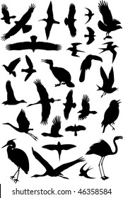 vector silhouettes of birds