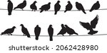 Vector silhouettes of birds. Doves on wires. Shadows of seated and flying birds.
