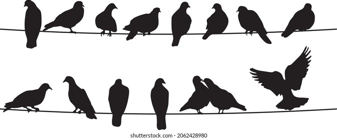 Vector silhouettes of birds. Doves on wires. Shadows of seated and flying birds.
