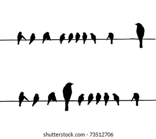 Vector Silhouettes Of The Birds On Wire