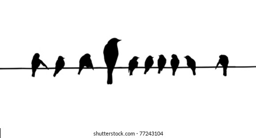 siluetas vectoriales de las aves de alambre