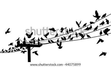 Similar – Image, Stock Photo Flock of birds sitting over green salty lagoon