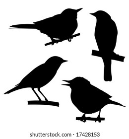 vector silhouettes of the birds sitting on branch tree