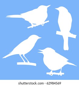 vector silhouettes of the birds sitting on branch tree